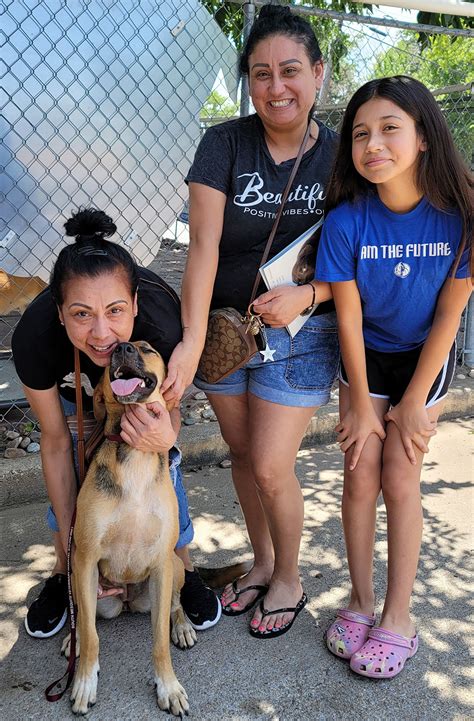 Humane Society of Dallas County .